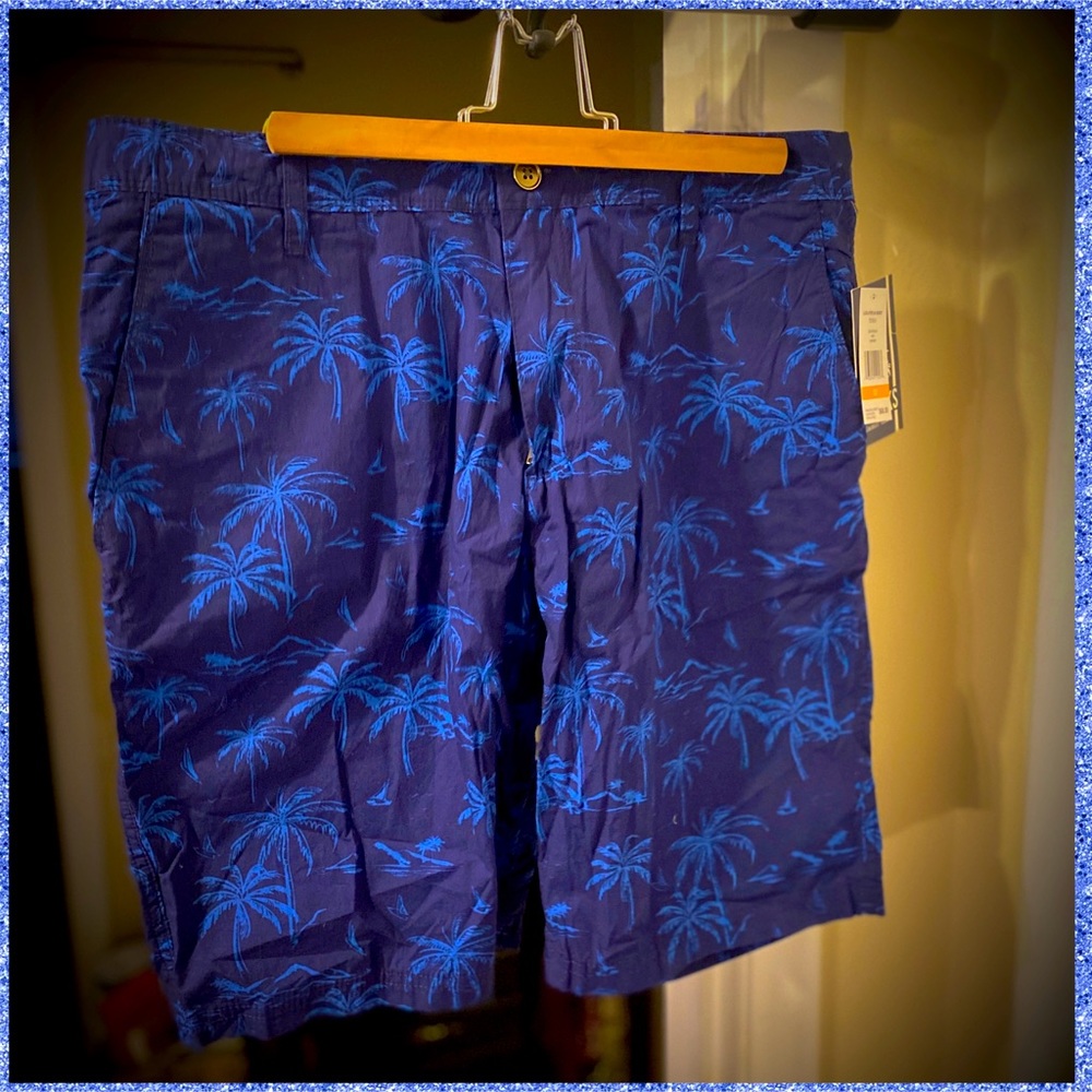 Mens Trunks Brand Shorts Size 32